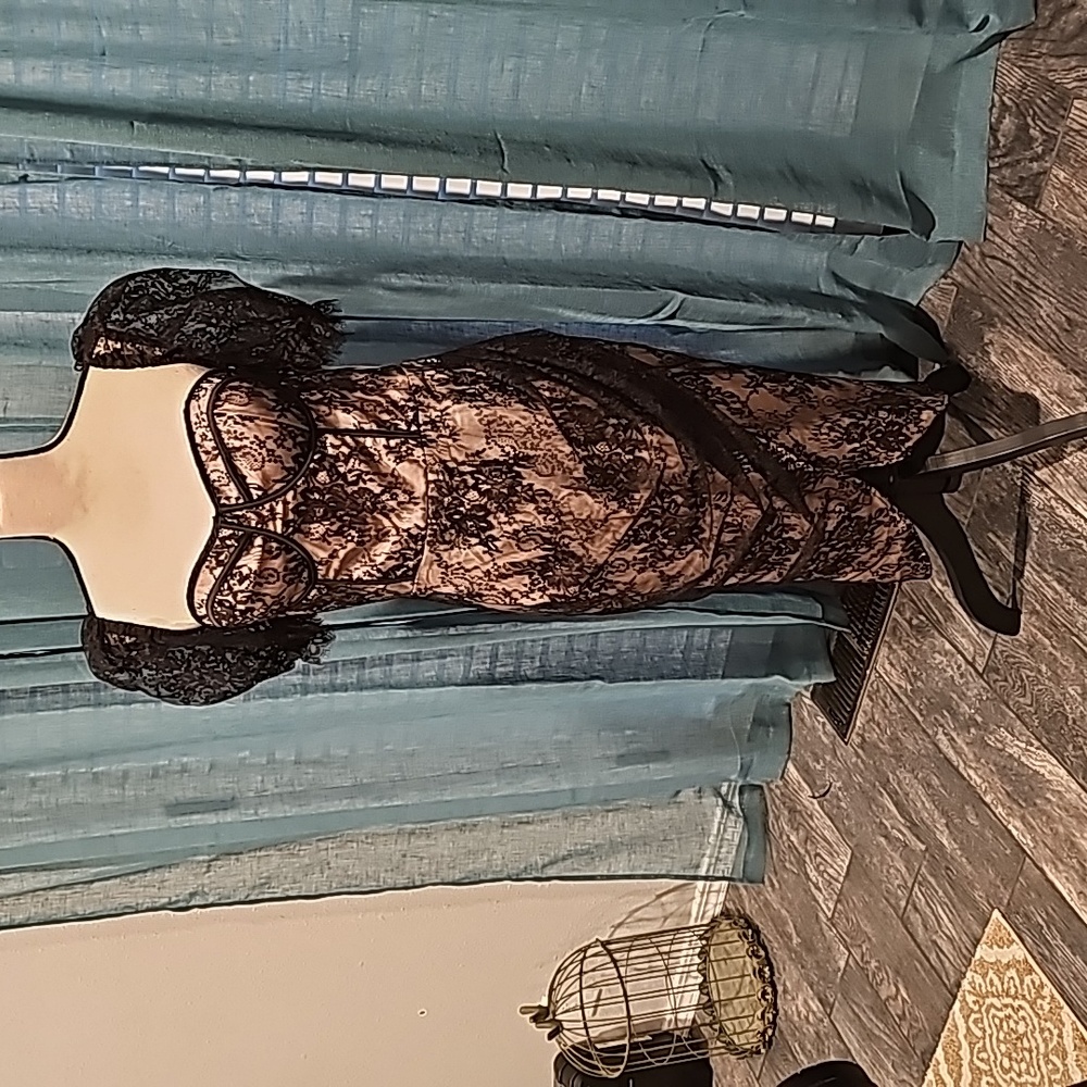 NWT, Super Sexy Floral Lace Overlay Dress